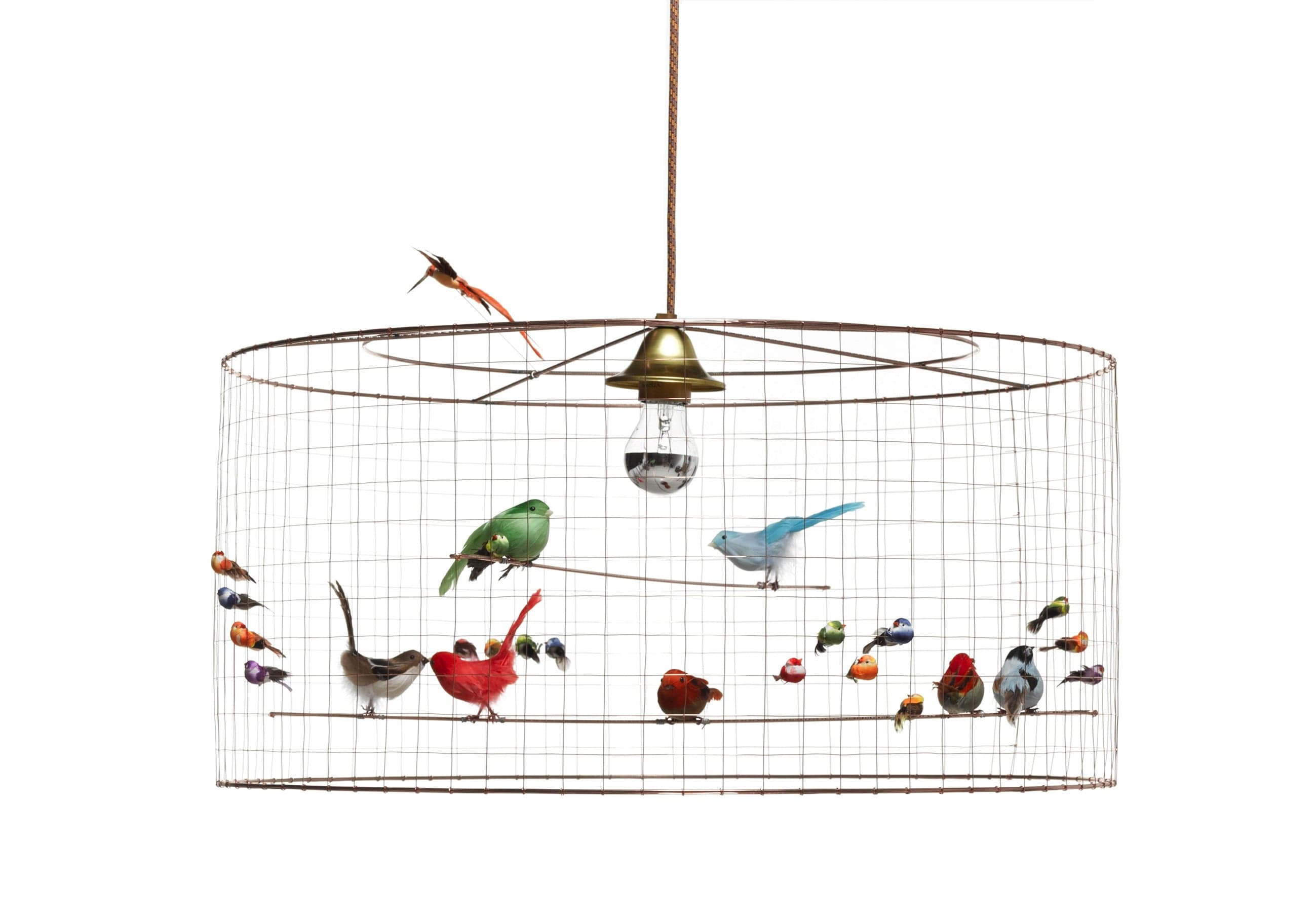 MATHIEU CHALLIERES-SUSPENSION-Demi-Grande Volière