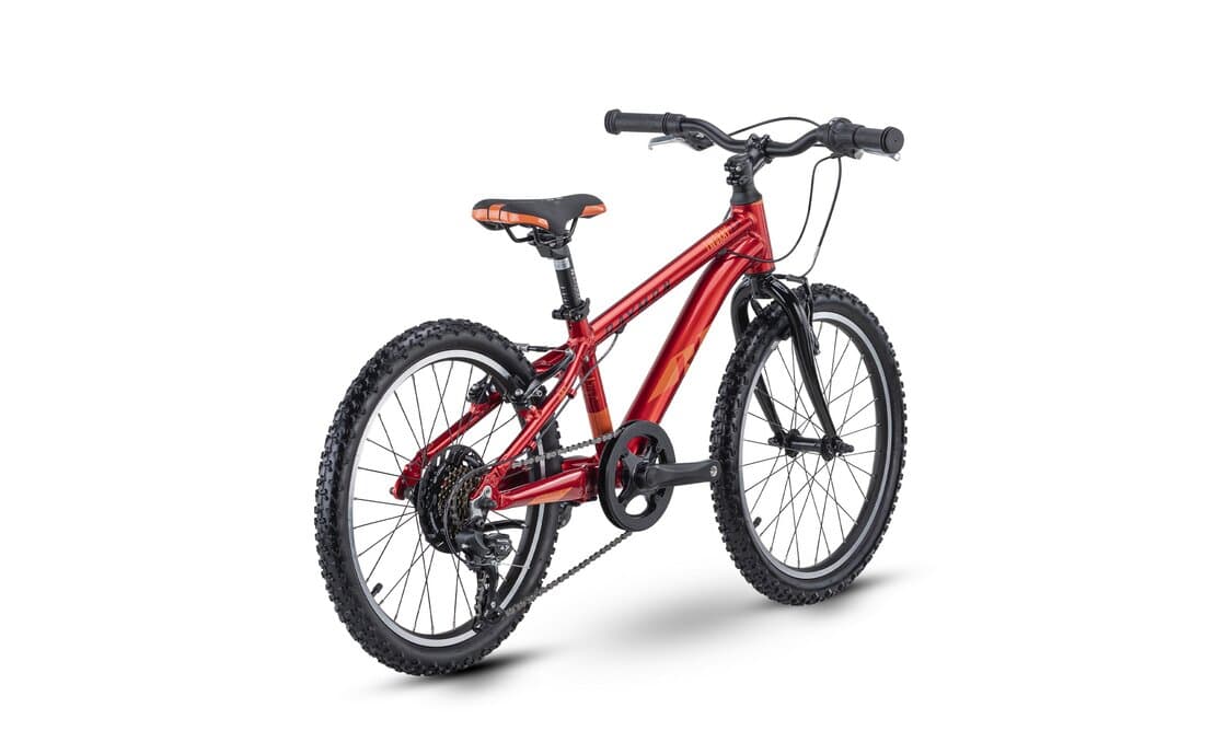 Raymon TwoRay 1.0 – 20 Zoll – Diamant – 2024