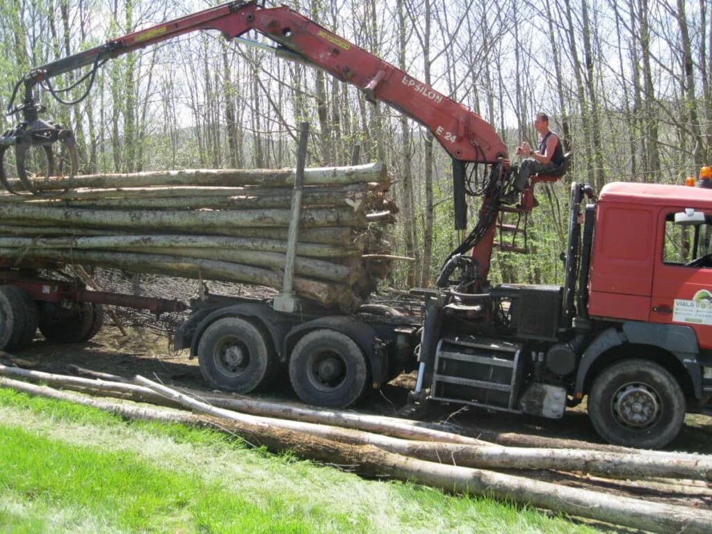 CHÂTAIGNIER EN GRUME, CAMION DE 50 STÈRES