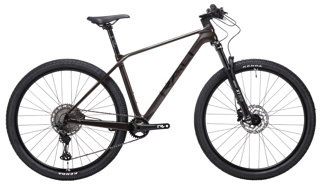 Bicicleta Rali ADV-0 Carbono 2024 - M