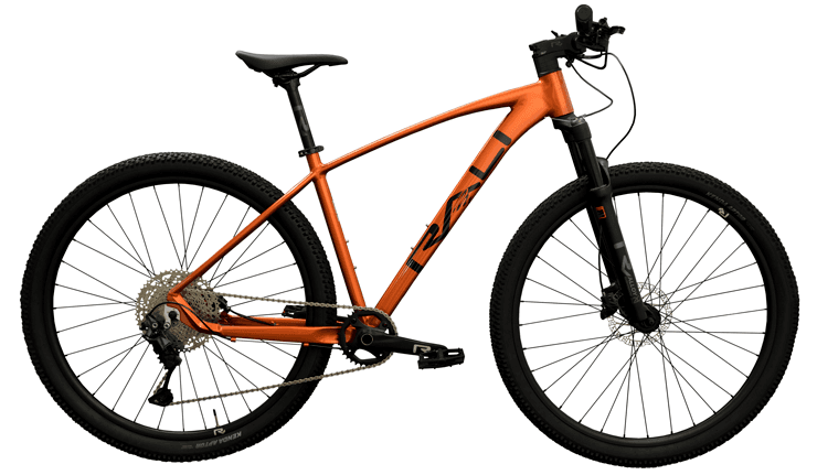 Bicicleta Rali R-Pro 2025 - S