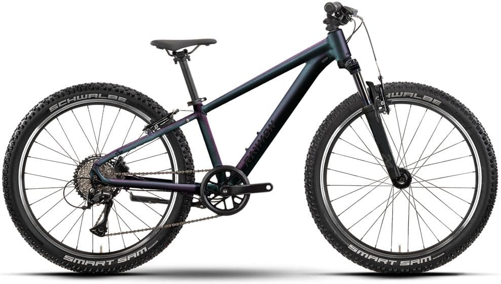 Raymon Nayta 24 Comp
