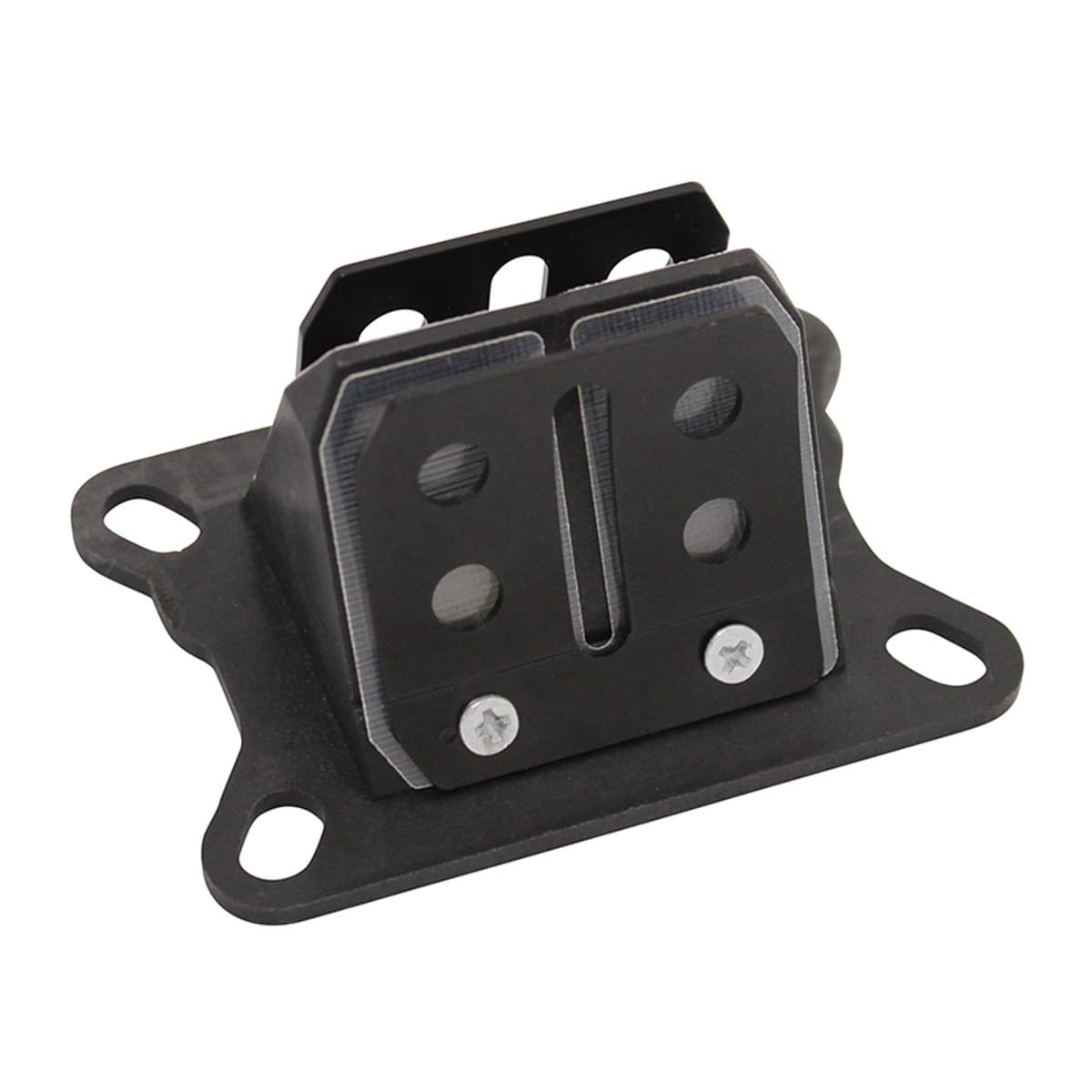 Adaptable - Clapet Am6 / Derbi - Fibre