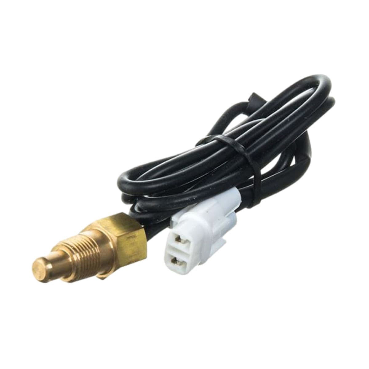 Watts - Sonde De Température Cylindre Watts M10x1,00