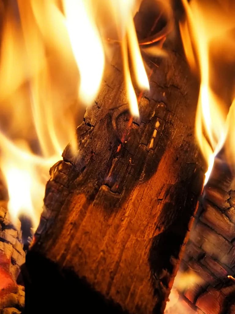 holzbrx Brennholz Buche, ofenfertig gesägt, gespalten & getrocknet, 25cm Länge, 150kg, 5 Kartons, inkl. 5 Holzwollanzünder, aus nachhaltiger Verarbeit
