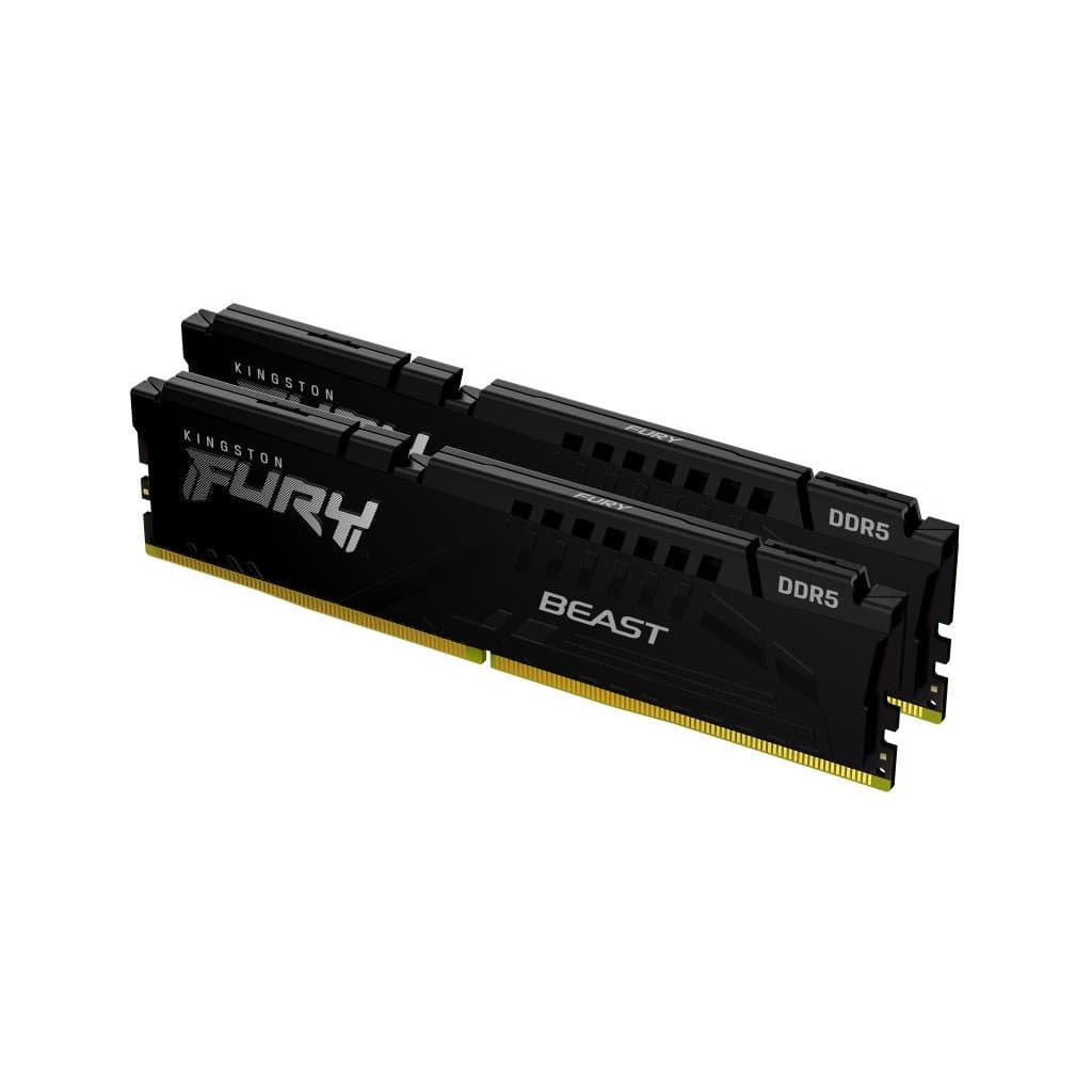 Kingston Technology FURY Beast 64 Go 6000 MT/s DDR5 CL30 DIMM (Kits de 2) Black EXPO