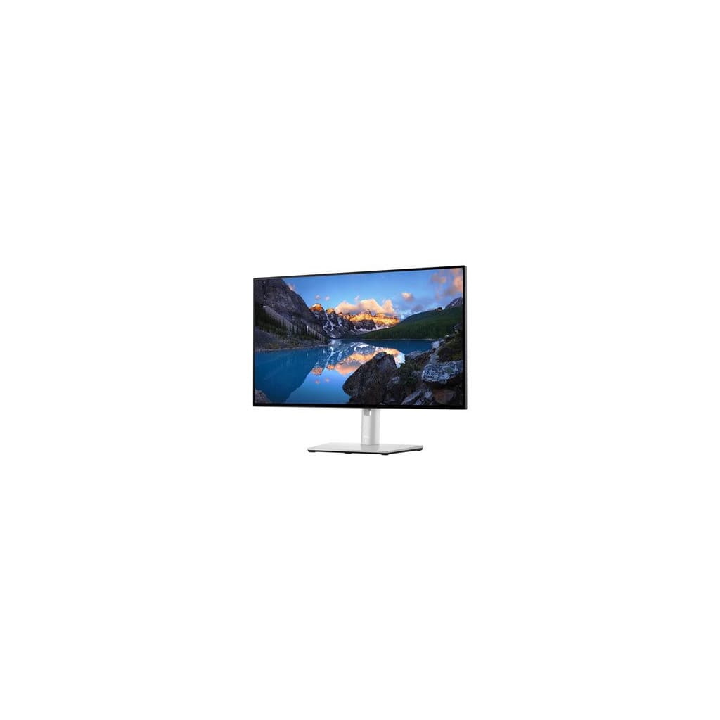 Ecran 23.8" FHD - Dell U2422H