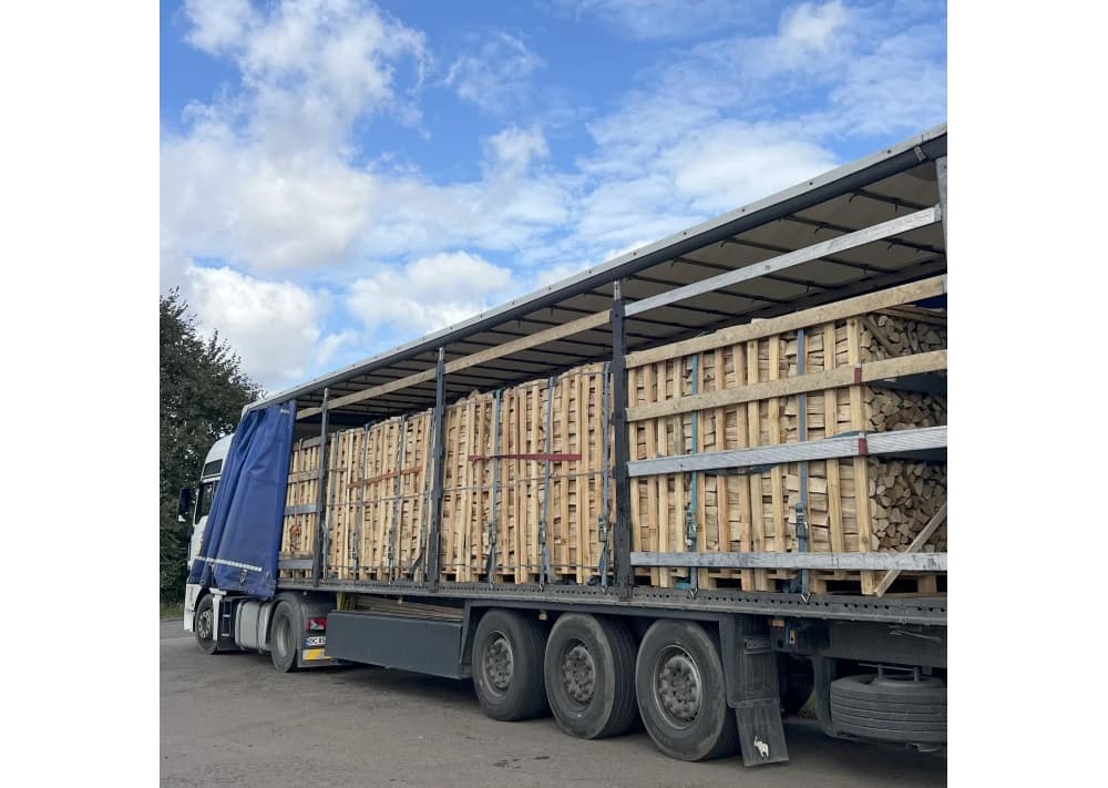 LKW Brennholz Hainbuche Buche 22 Paletten ( 44 RM ) 25 / 33cm