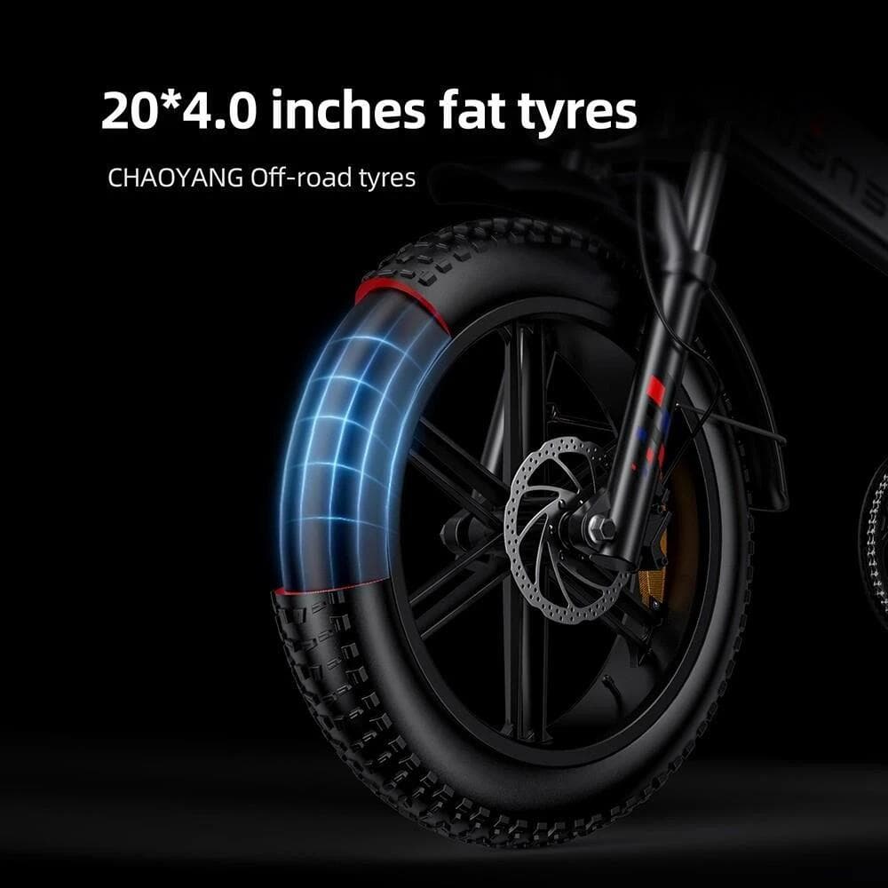Vélo électrique pliable ENGWE Engine X, moteur 250 W, batterie 48 V 13 Ah - XL