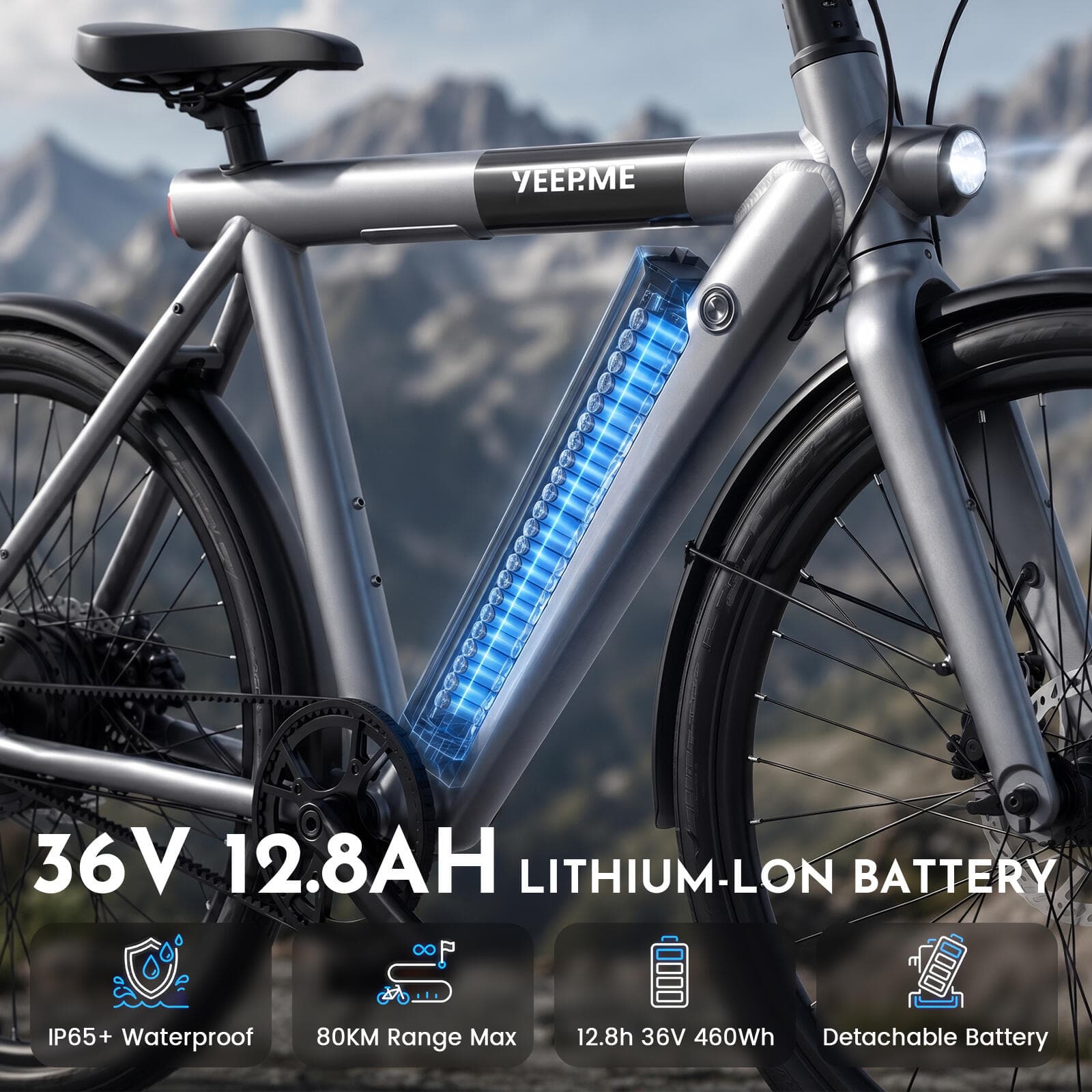 Vélo électrique DAY SPORT RC Gris 28 » 80km 460Wh Courroie, PB AR - L
