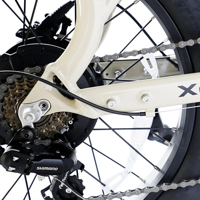 Biplace Grandeux – Vélo cargo biplace électrique - L