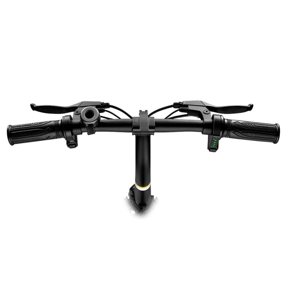 Vélo électrique DYU D3F pour adultes, 14 pouces, 250 W, 36 V, 10 Ah - S
