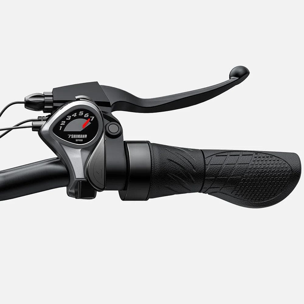 Vélo Électrique ENGWE E26 Step-thru – 250W 768WH 140KM Freins à Disque – Gris - XL