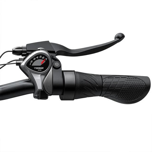 Vélo électrique adulte ENGWE E26 ST avec batterie 48 V 16 Ah - L