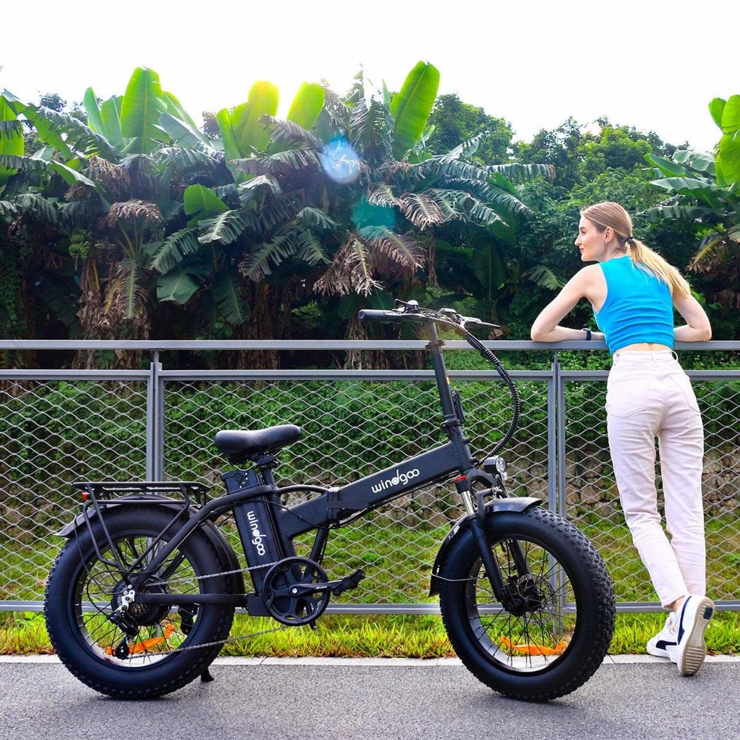 Vélo électrique Pliable Hillmiles MilePort 1 – Autonomie 60km – Moteur 250W – Batterie 36V13Ah – Pneus 20 pouces – VTC Bike – Noir - M