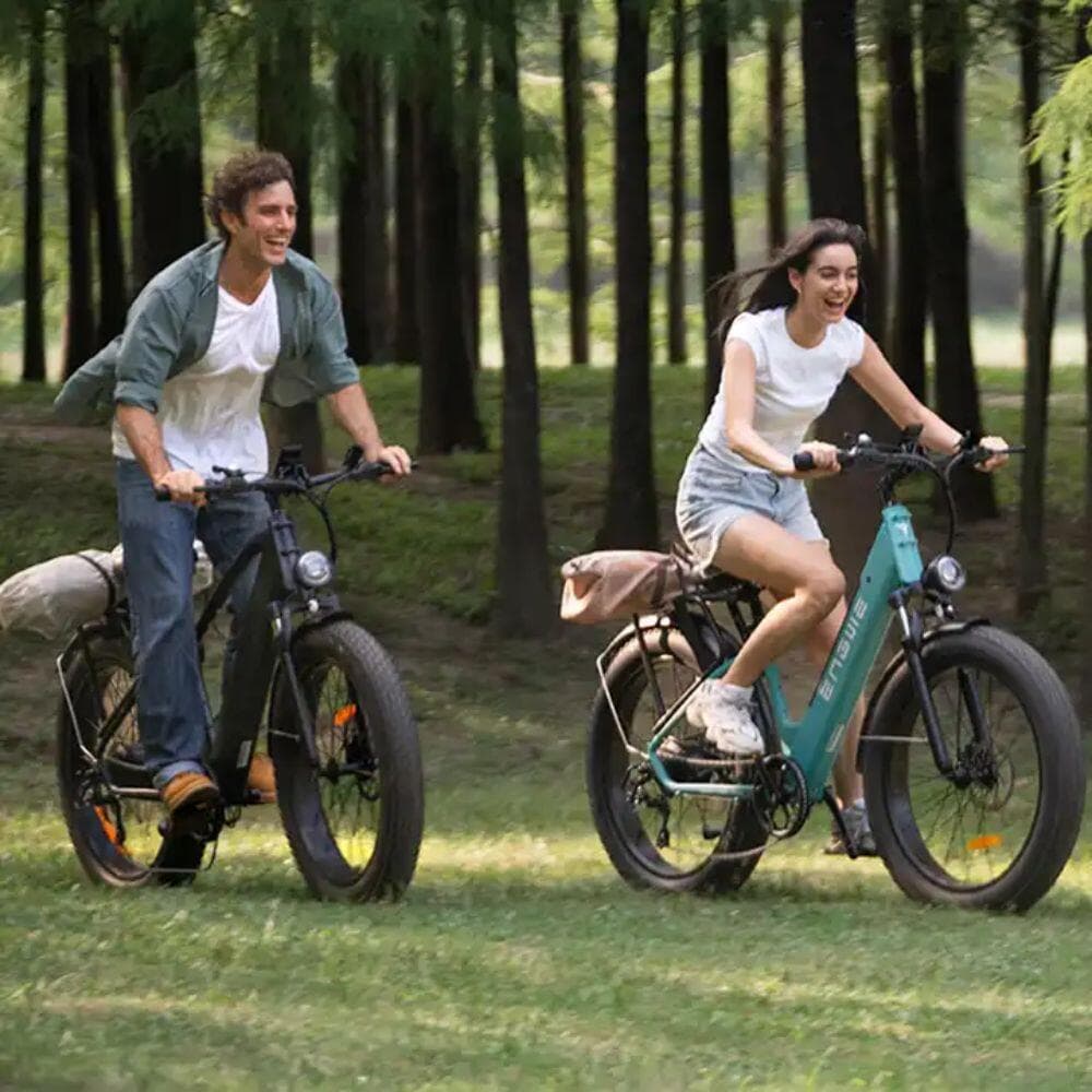 Vélo Électrique ENGWE E26 – 250W 768WH Autonomie 140KM Freins à Disque – Gris - M