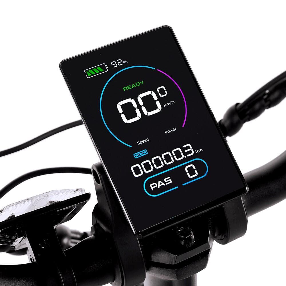 Jinghama R5 1000W 48V 12.8Ah Vélo Électrique Pliant à Suspension Complète pour Adultes, Pneus de 26 x 4.0 Pouces de Large Aide à - S