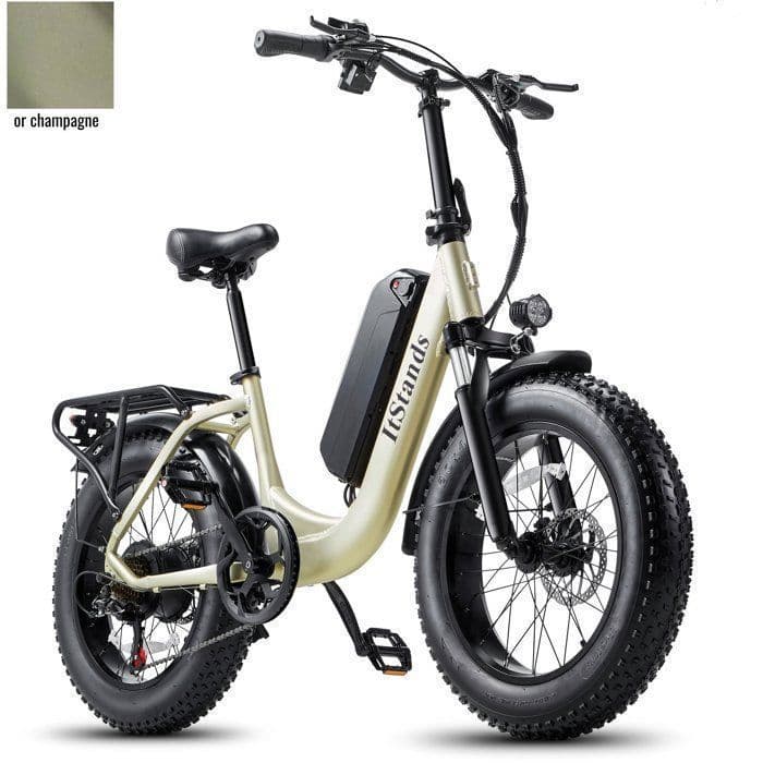Vélo Électrique ITSTANDS U1,VTT Fat Bike 20″x4,0″,Batterie 48V/15AH,Moteur 1000W,Autonomie 100KM,Shimano 7 vitesses,E-BIKE Doré - Standard