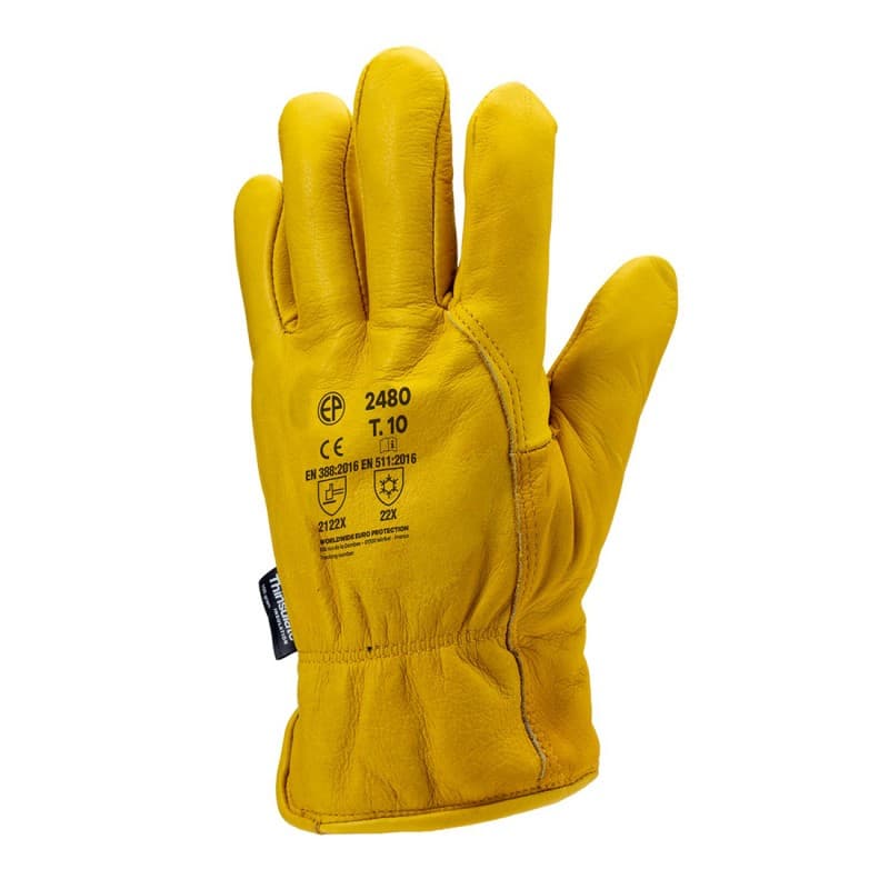 Coverguard - Gants anti froid jaune fleur de vachette EUROWINTER ALASKA (Pack de 12) - 10 - Jaune