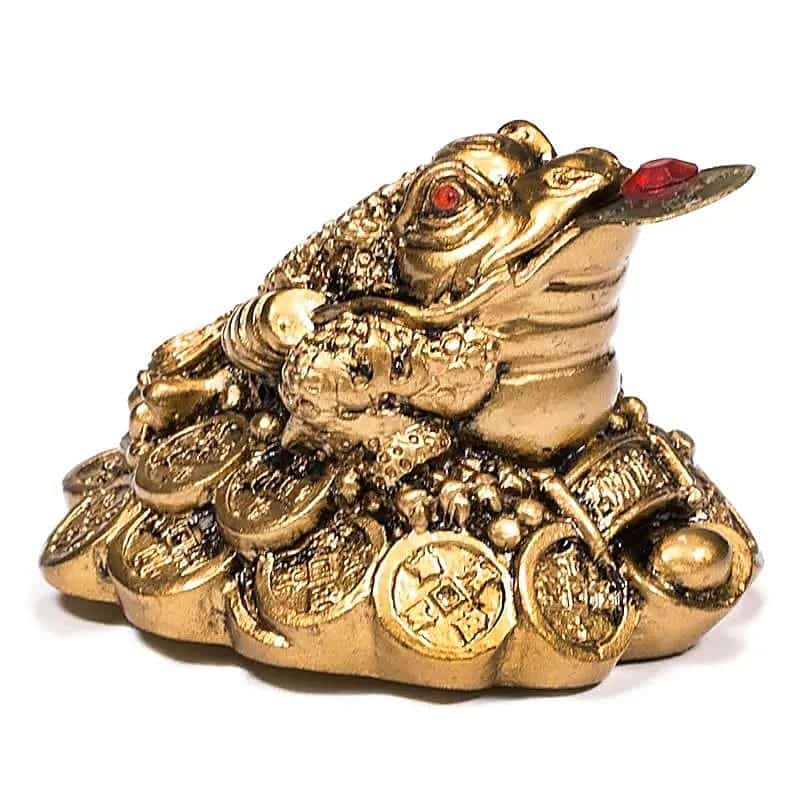 Grenouille Feng Shui or