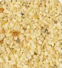 Encens TIBETAIN 50g