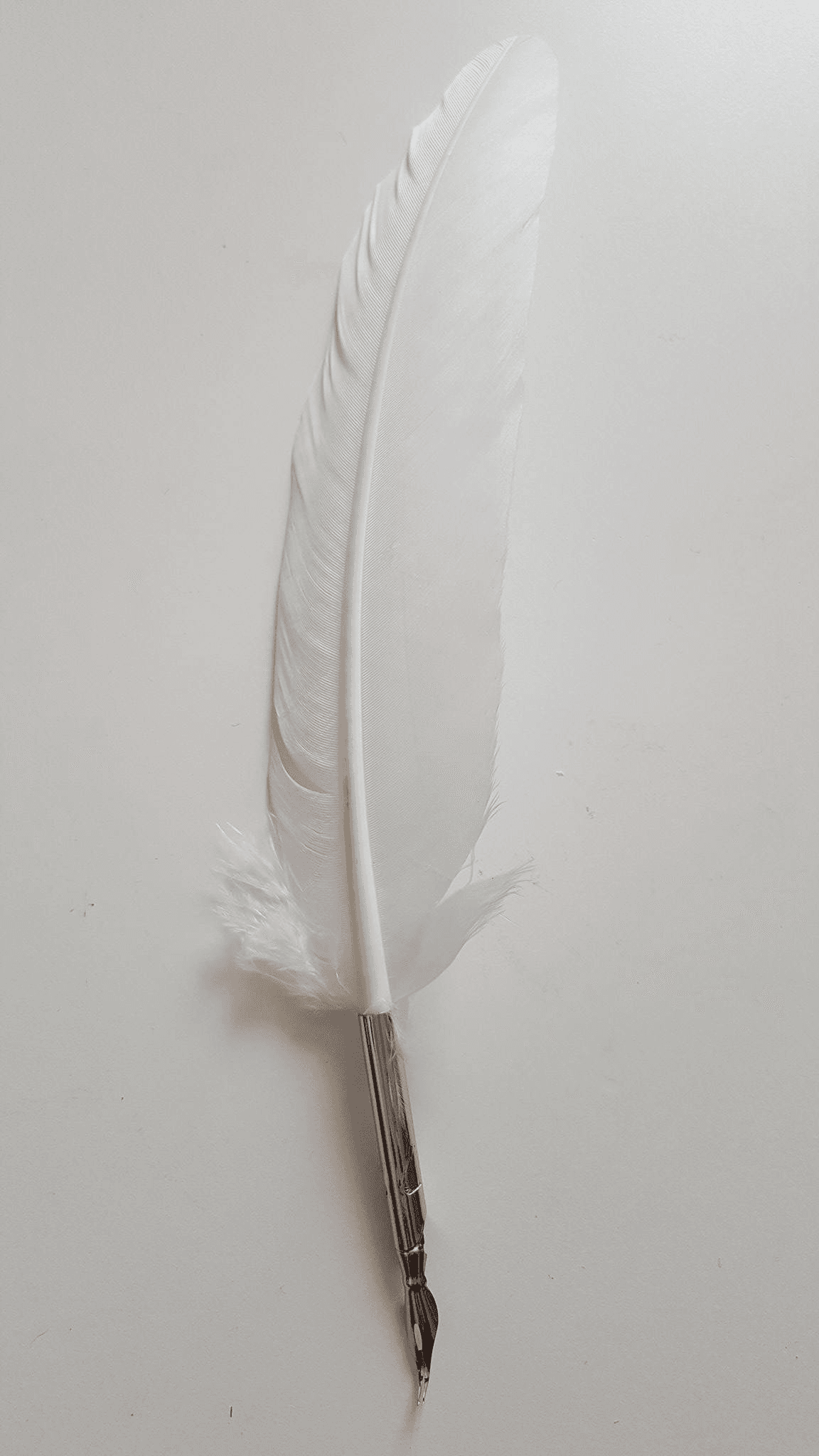 Plume Blanche avec 1 plume métal