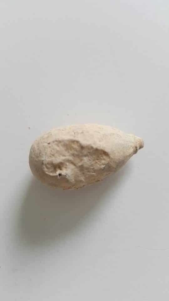 Pierre Juive Unique et Rare