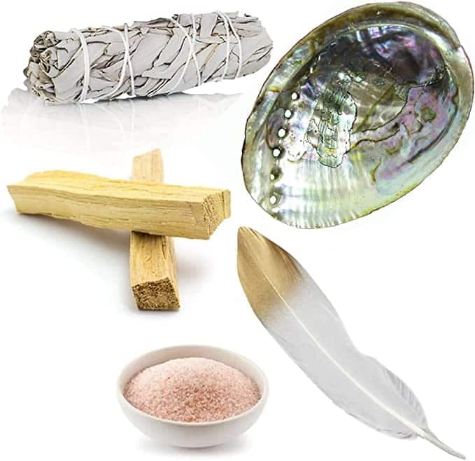 Coquille d'Ormeau ou d'Abalone naturelle