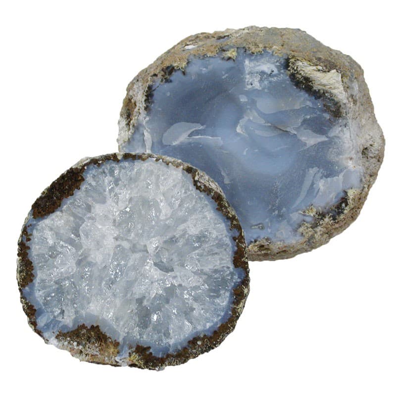 Agate coconut (Taille: Petite)