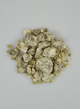 Encens BENJOIN 50g
