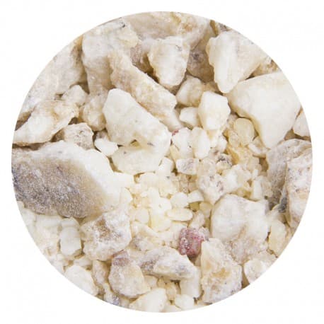 Encens DJAOUI 50g