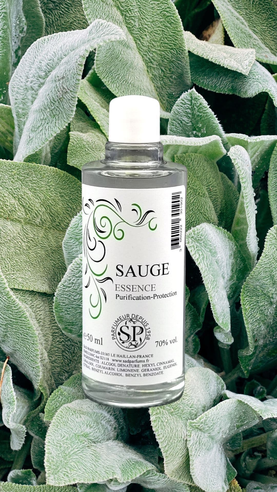 Parfum Sauge Blanche