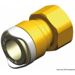 Adaptateur ½´´  femelle WHALE BSP (laiton)