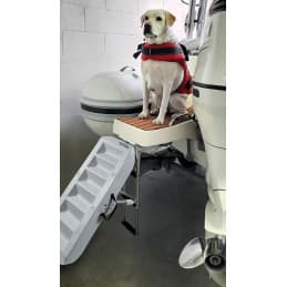 Echelle bain pour chiens