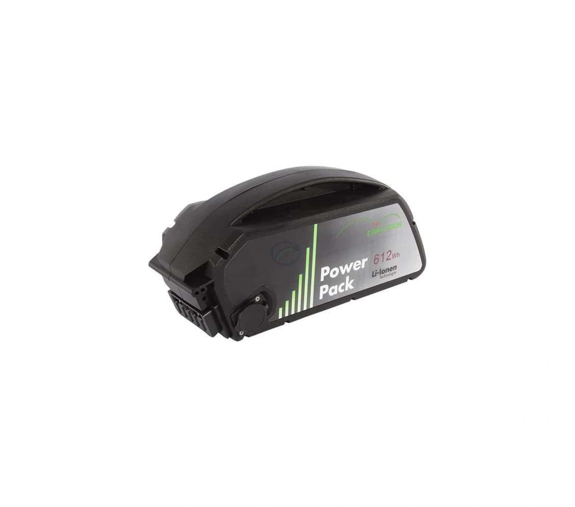 Bosch Classic 612Wh Cadre Par E-bike Vision