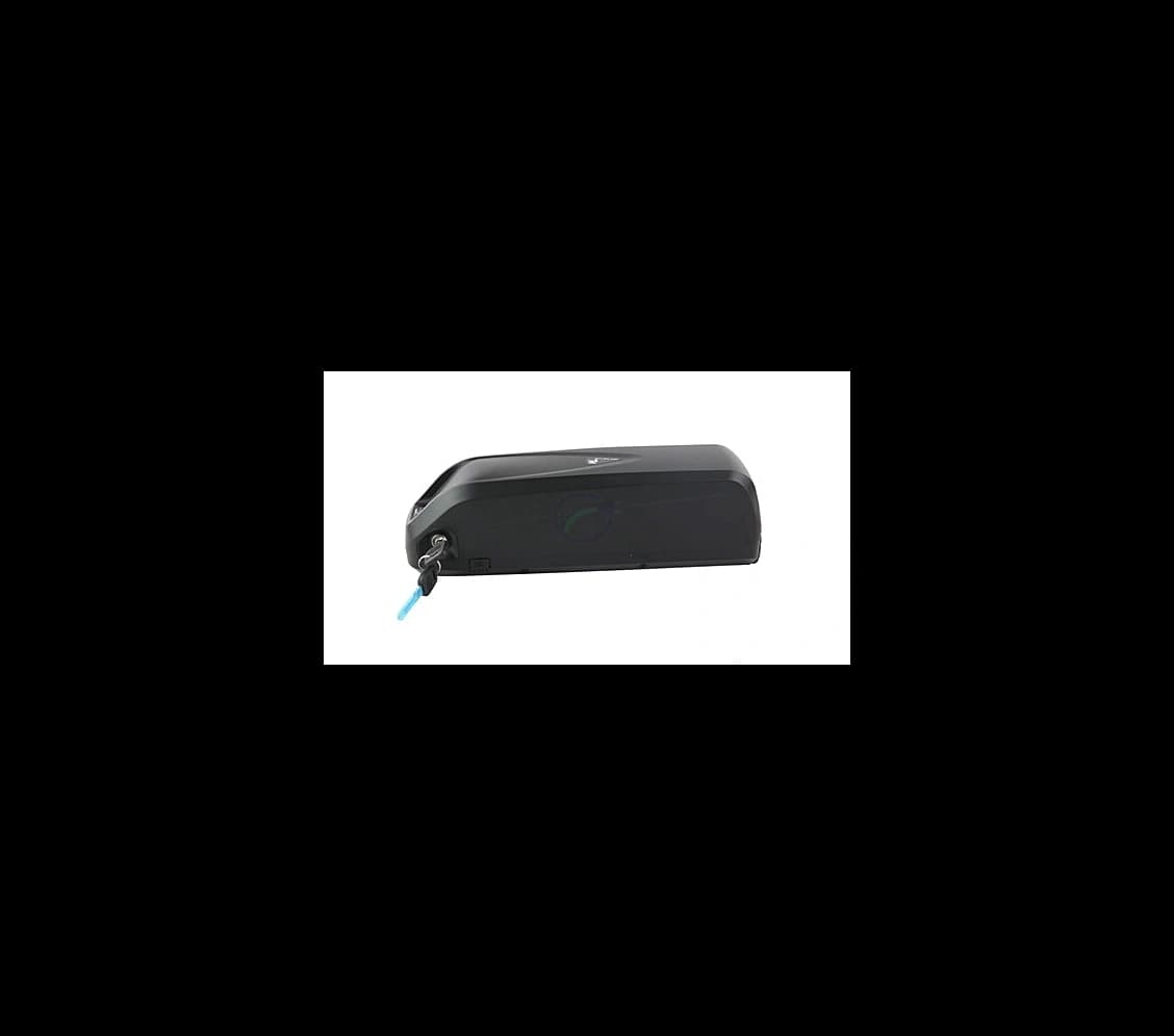 Brinckers Le Mans 36V 14.5Ah Frame