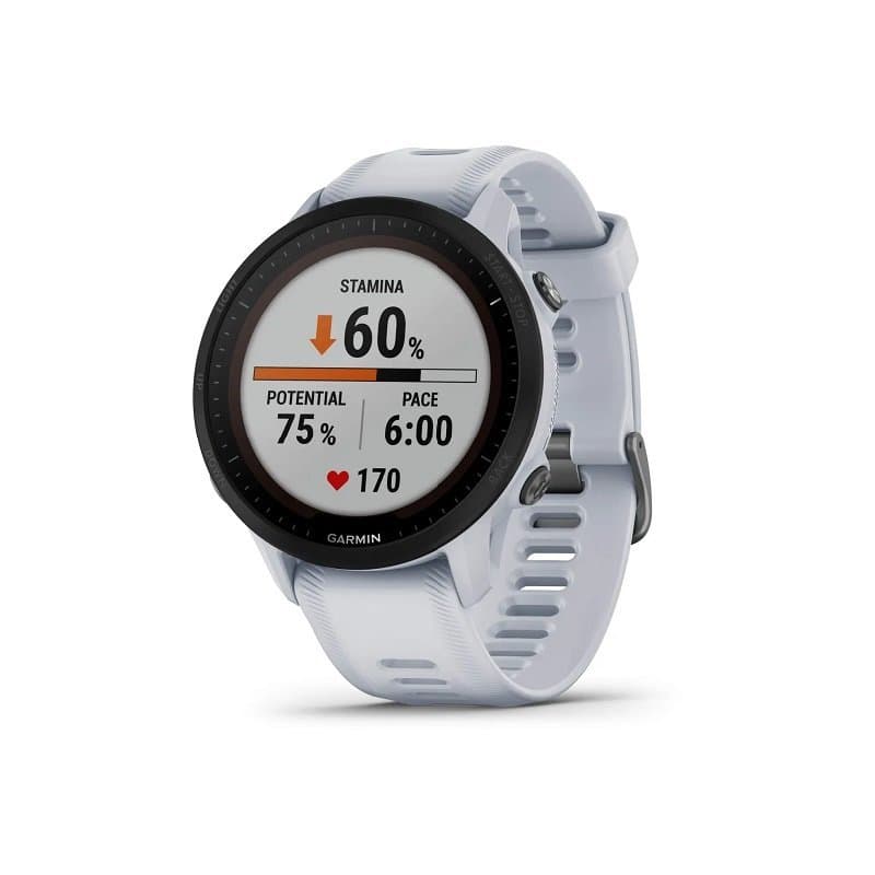 Montre Garmin  Forerunner 955 Solar - Gris
