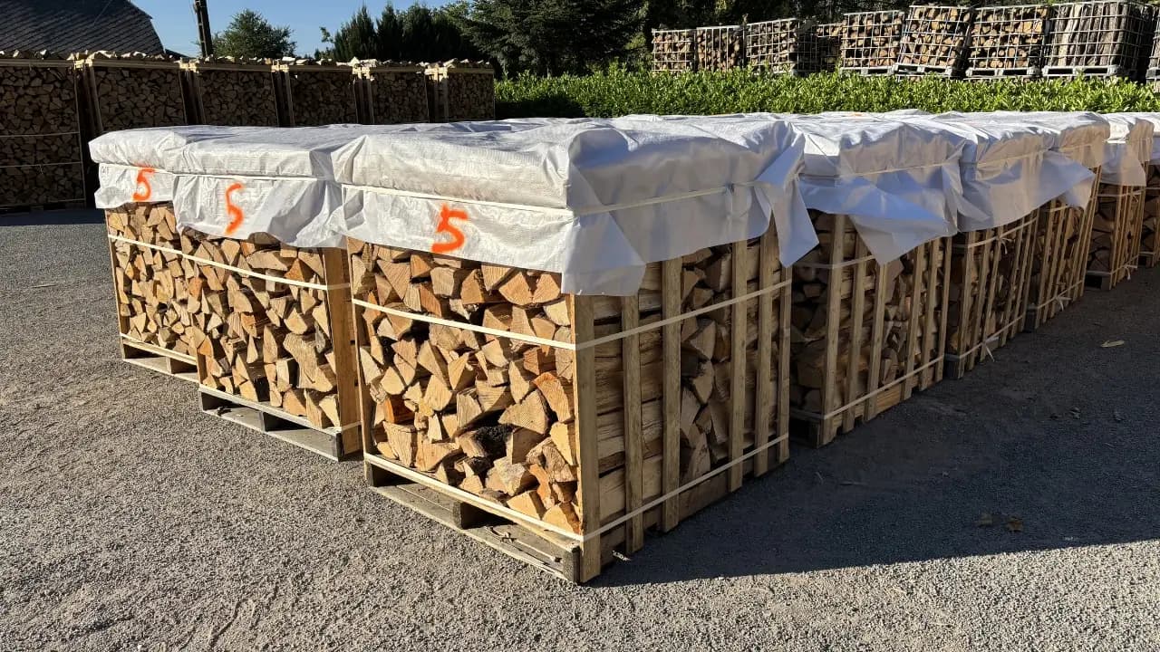 Lot de 4 Palettes de 12 Stères de Bûches 25 cm