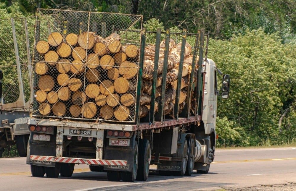 Robinier faux-acacia en grume séché 6 mois – Camion complet de 50 stères, bois très dense