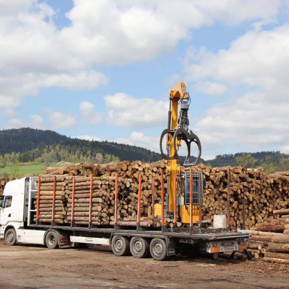 Hêtre en grume pour bois de chauffage – Camion complet de 50 stères, rondins de 2 m
