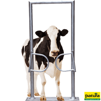 Passage tubulaire Western Patura pour vaches laitières