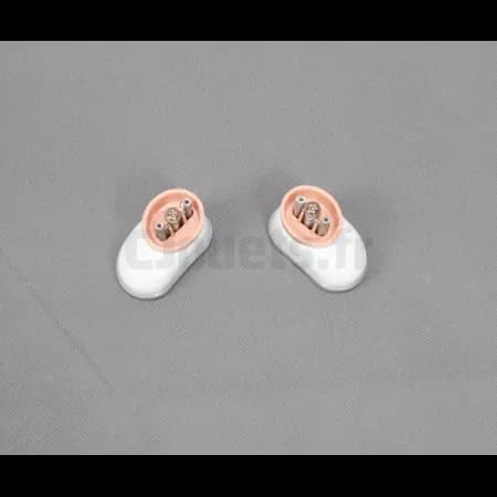 2 Pieds pour Cuisto Dingo Goliath 30333