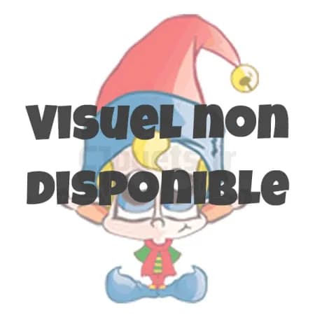 Moyeu BF-3 + Poignée de vitesse