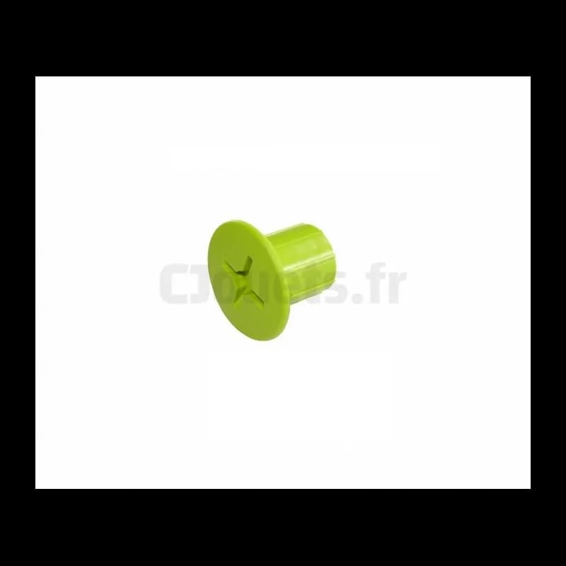 Vis Plastique Femelle verte Smoby
