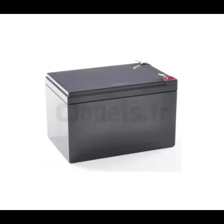 Batterie 12 Volts 12AH pour véhicules électriques