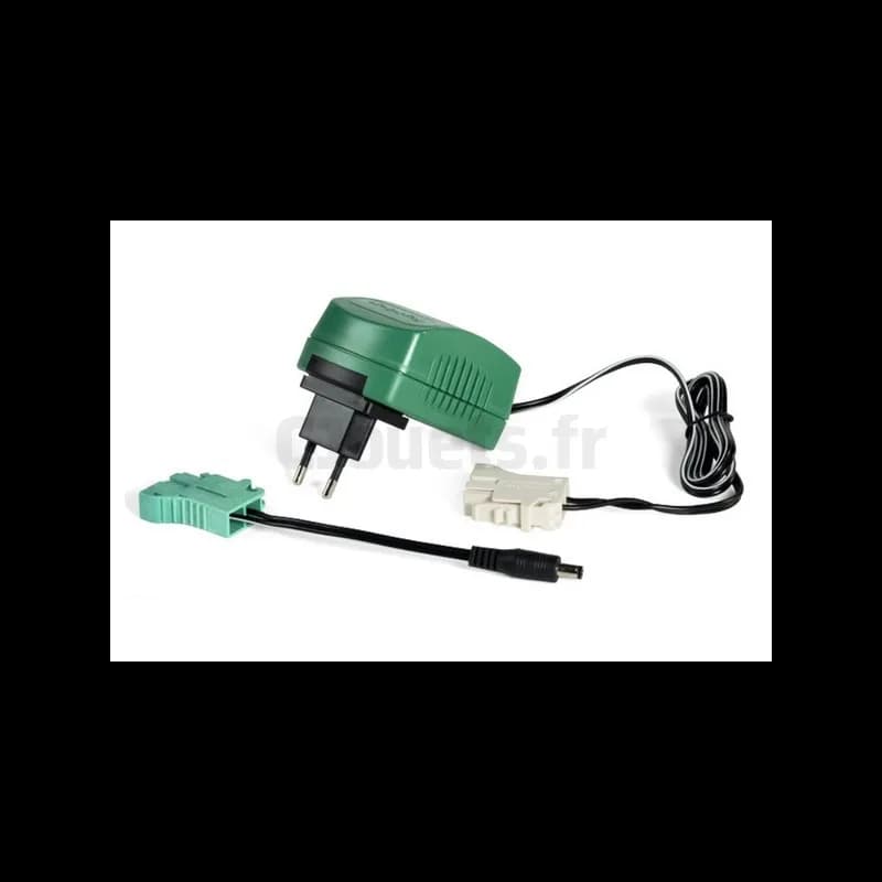 Chargeur de batterie 6 volts Peg-Pérego
