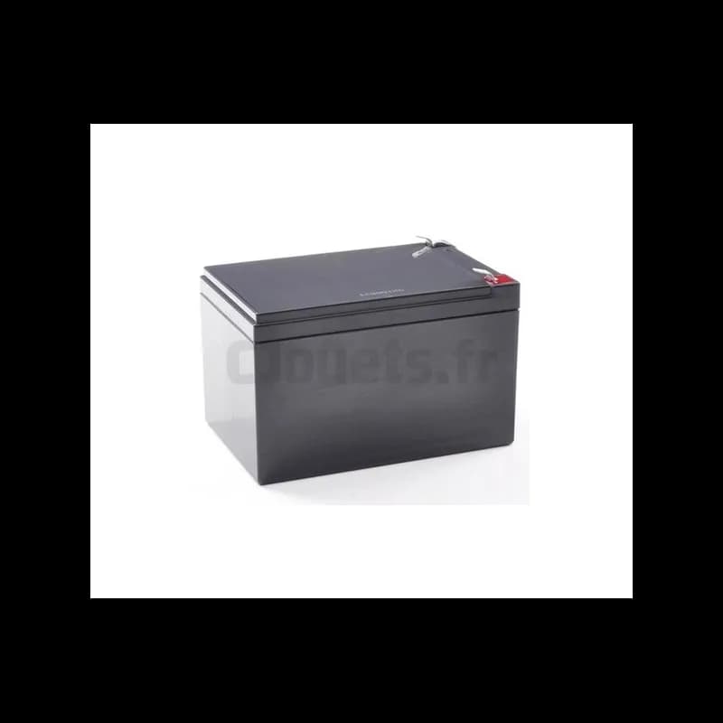 Batterie 12 Volts 14AH pour véhicules électriques