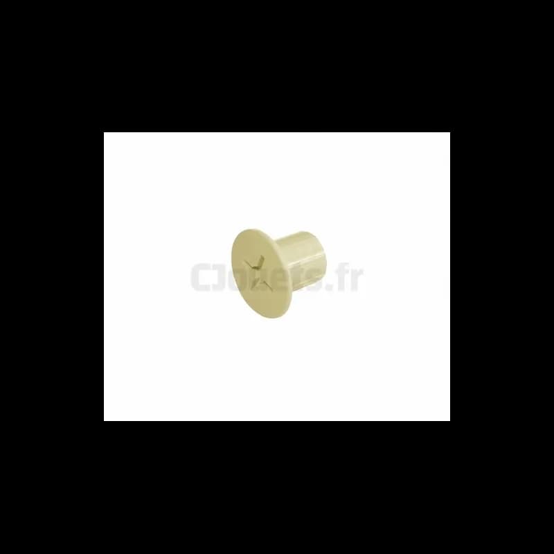 Vis Plastique Femelle Beige Smoby