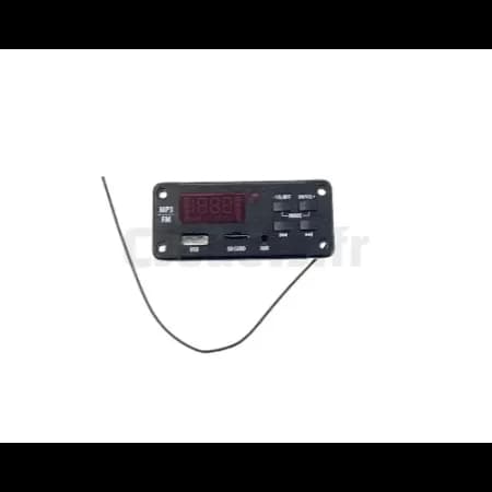 Radio pour Gaucho pro Realtree 24 Volts PegPerego