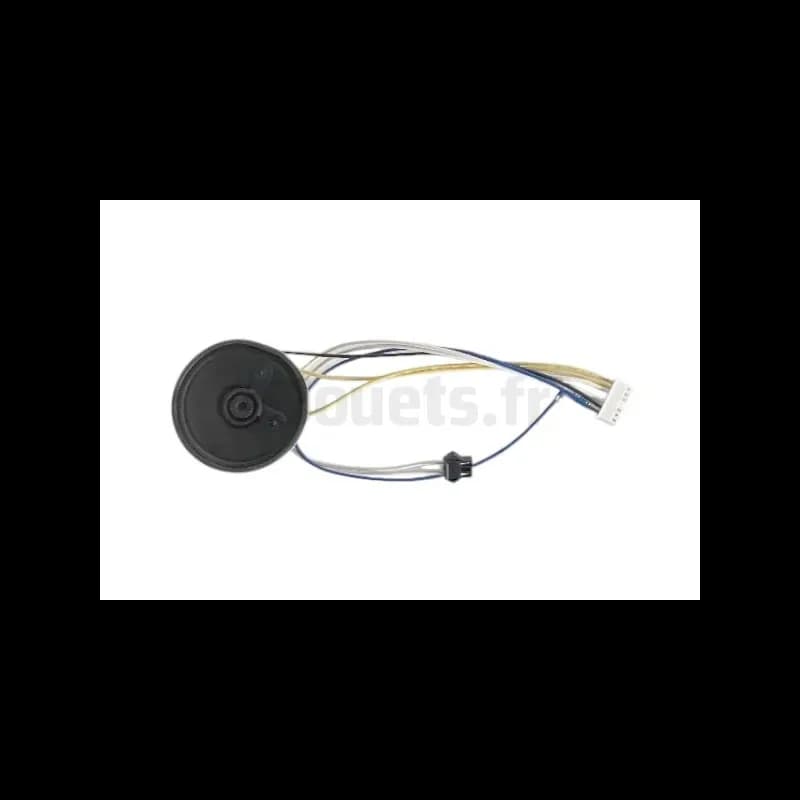 Faisceaux radio pour RZR 900 12 Volts Peg Pérego